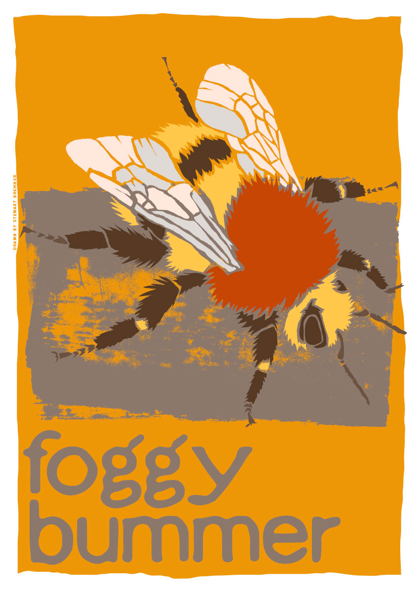 Foggy bummer – A4 poster