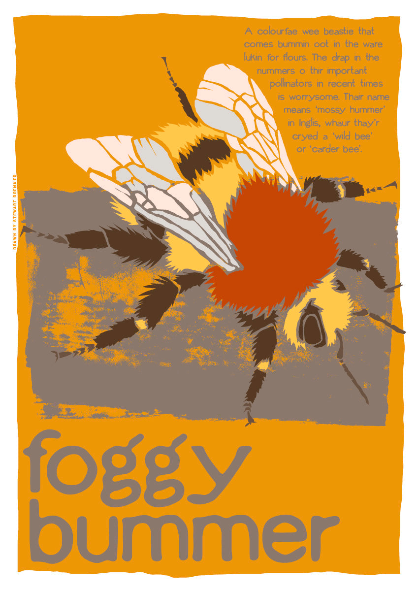 Foggy bummer – giclée print – Indy Prints by Stewart Bremner