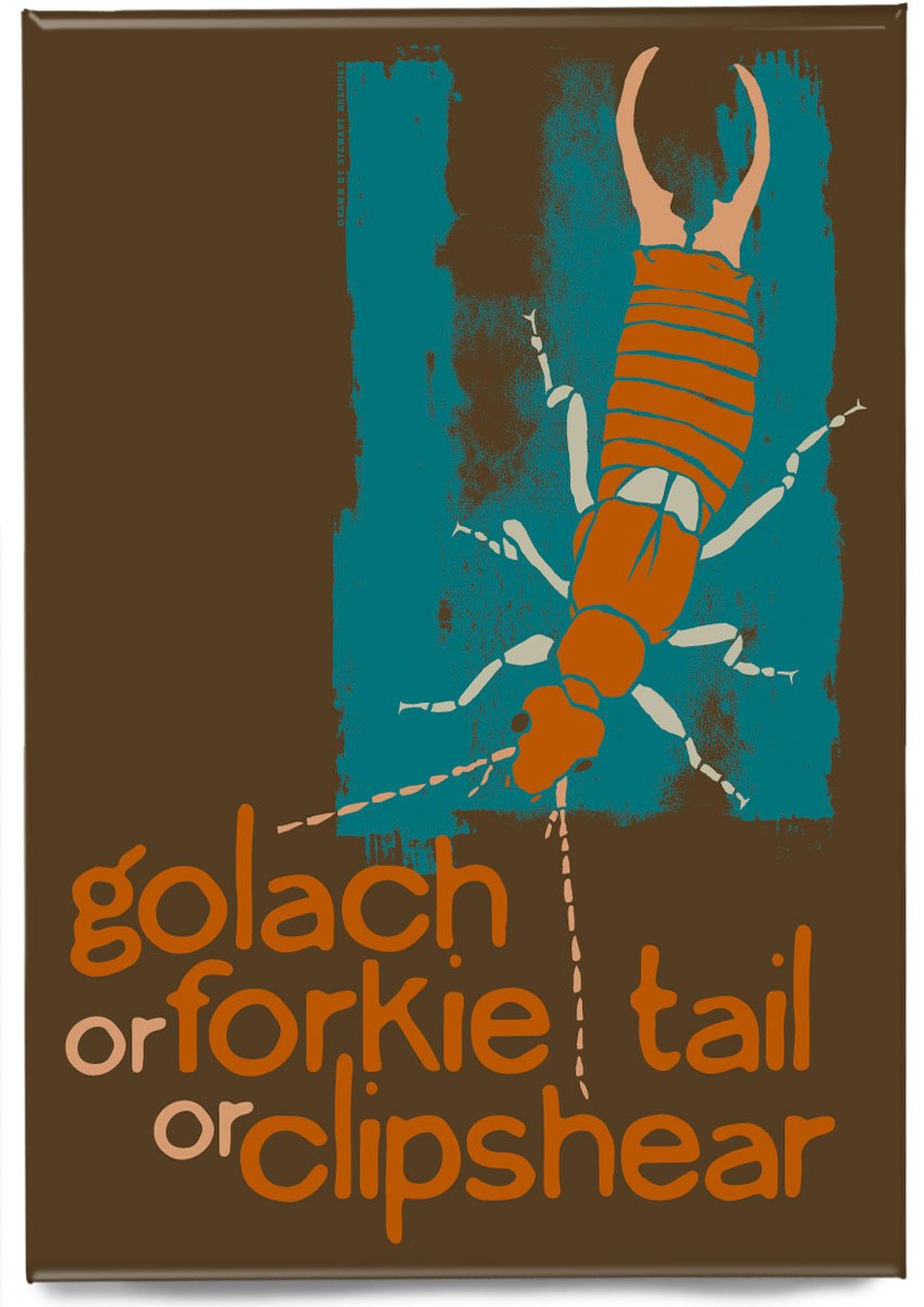 Golach or forkie-tail or clipshear – magnet – Indy Prints by Stewart Bremner