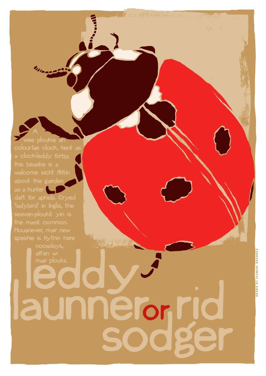 Leddy launner or rid sodger – giclée print – Indy Prints by Stewart Bremner