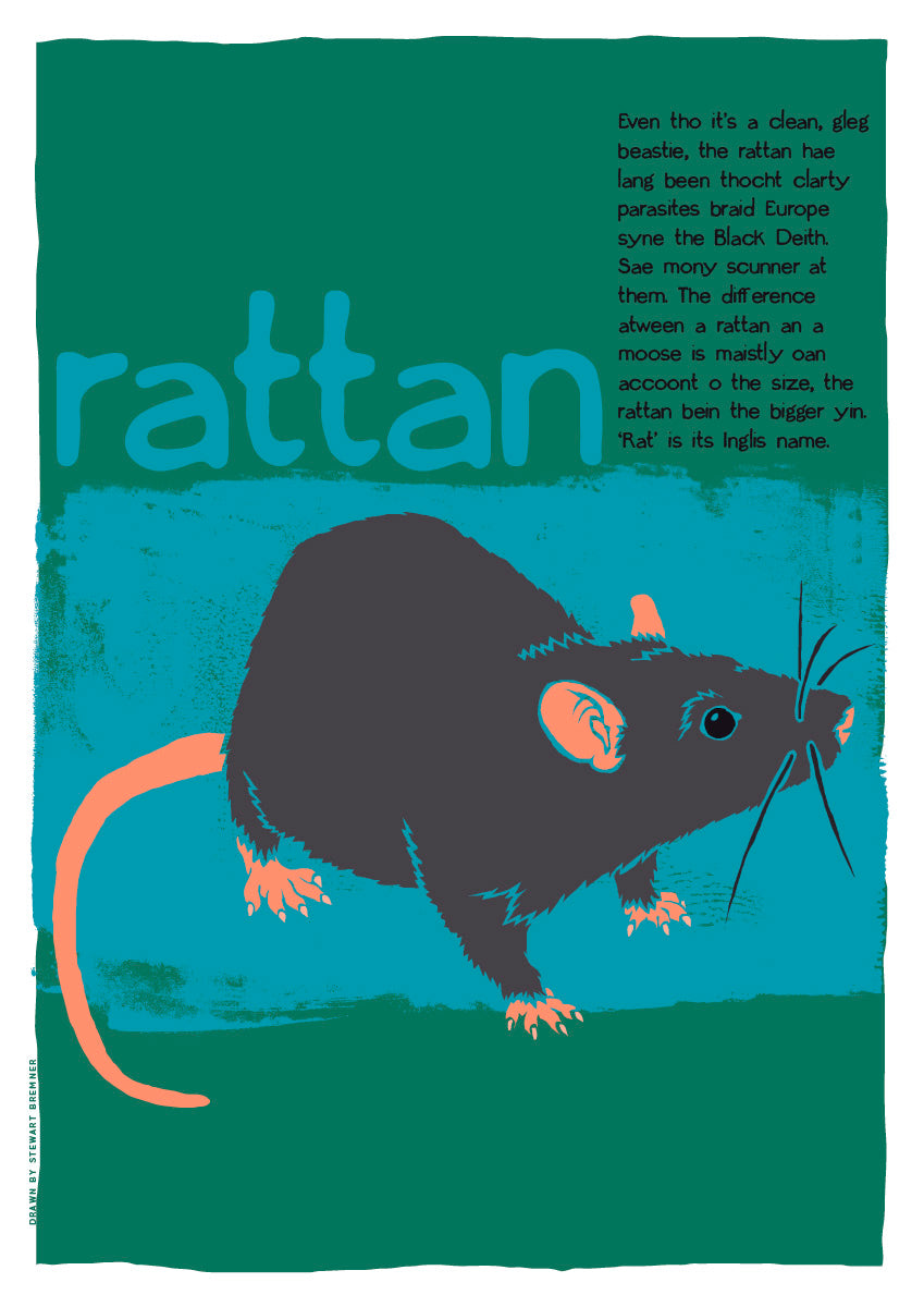 Rattan – giclée print – Indy Prints by Stewart Bremner