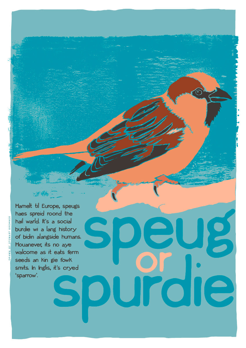 Speug or spurdie – poster – Indy Prints by Stewart Bremner
