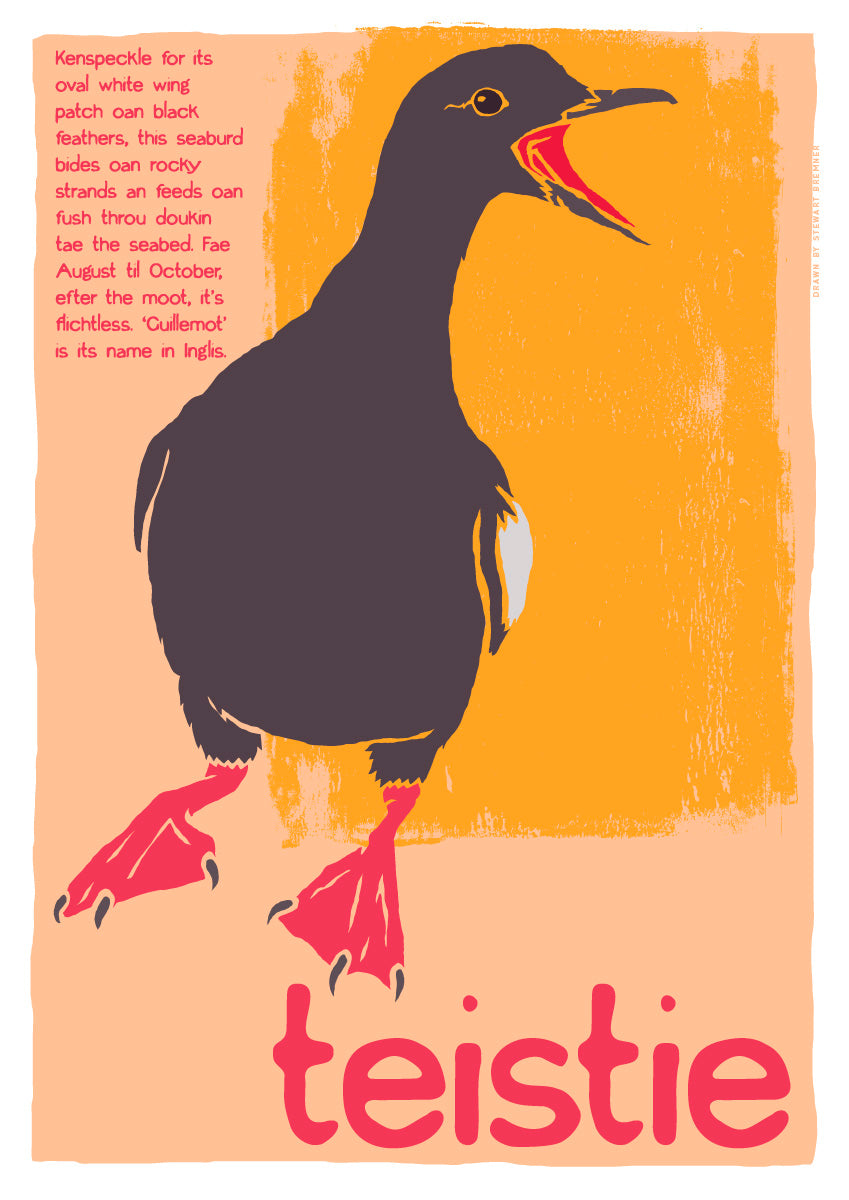 Teistie – poster – Indy Prints by Stewart Bremner