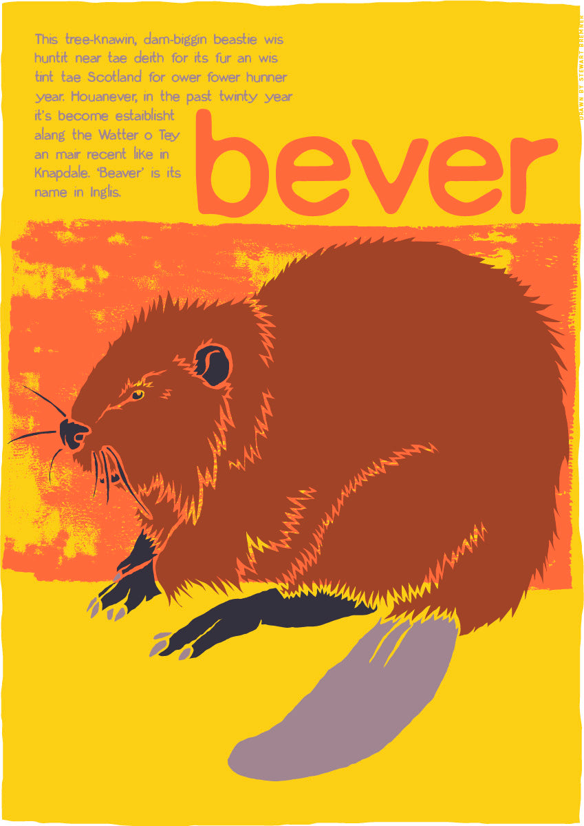Bever (yellow) – poster