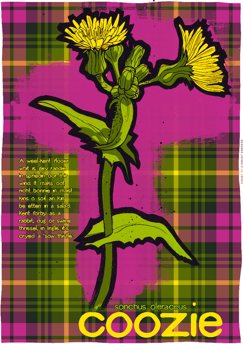 Coozie oan tartan – poster