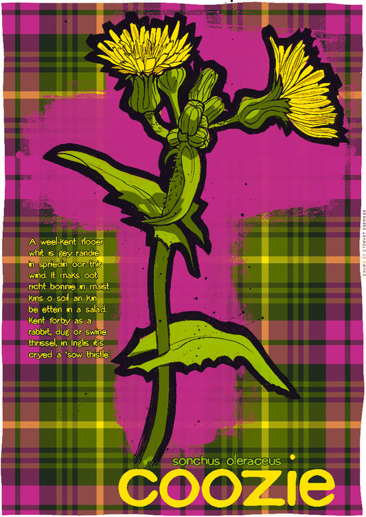 Coozie oan tartan – poster