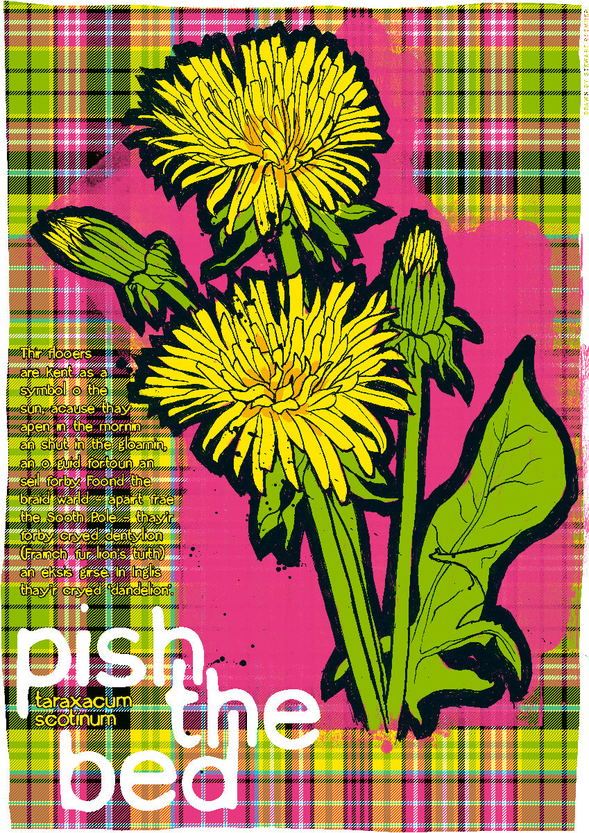 Pish the bed oan tartan – poster