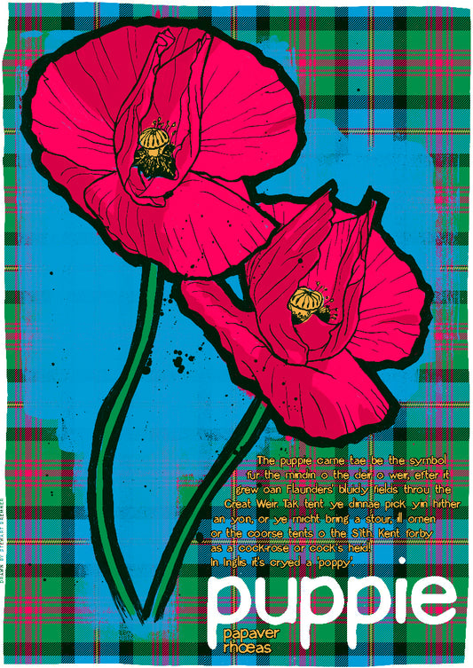 Puppie oan tartan – poster