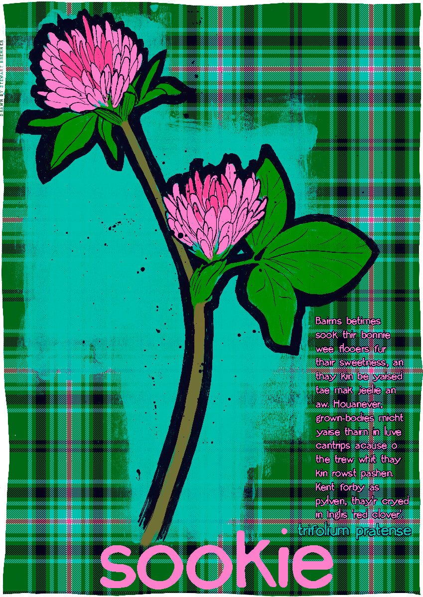 Sookie oan tartan – poster