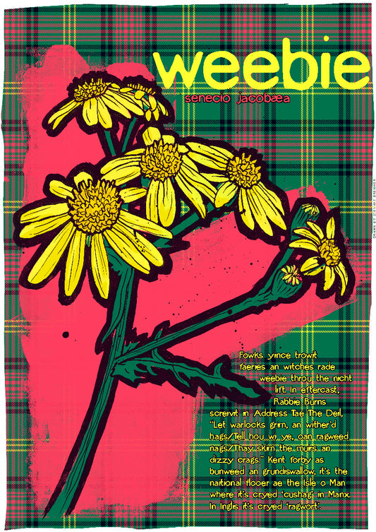 Weebie oan tartan – poster