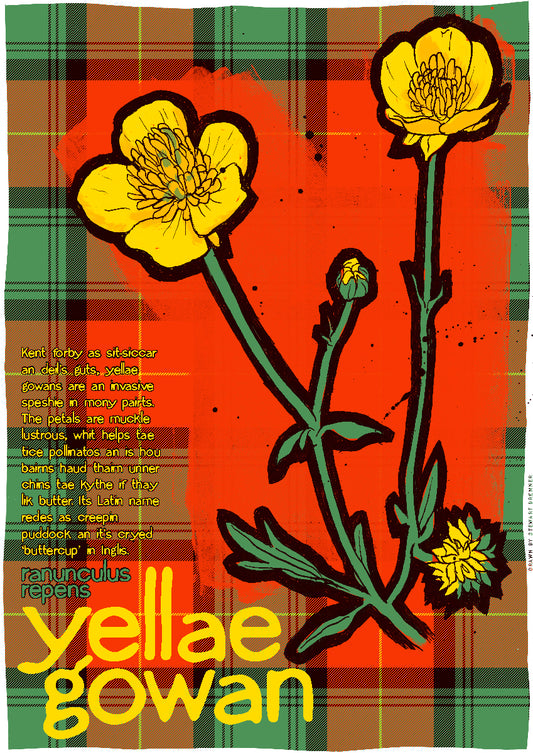Yellae gowan oan tartan – poster