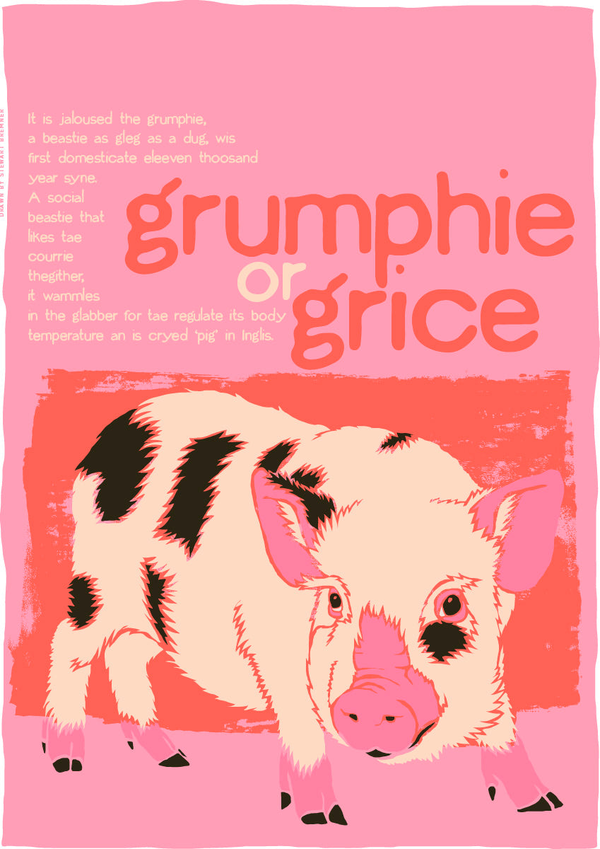 Grumphie or grice (pink) – poster