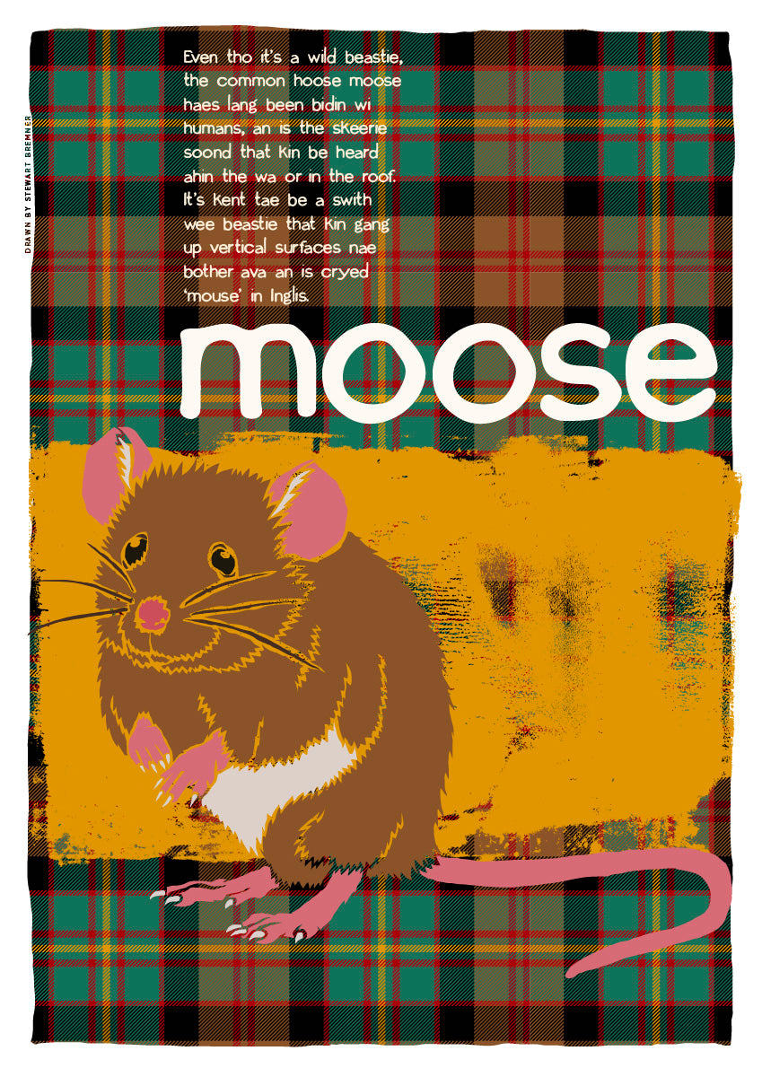 Moose oan tartan – giclée print – Indy Prints by Stewart Bremner