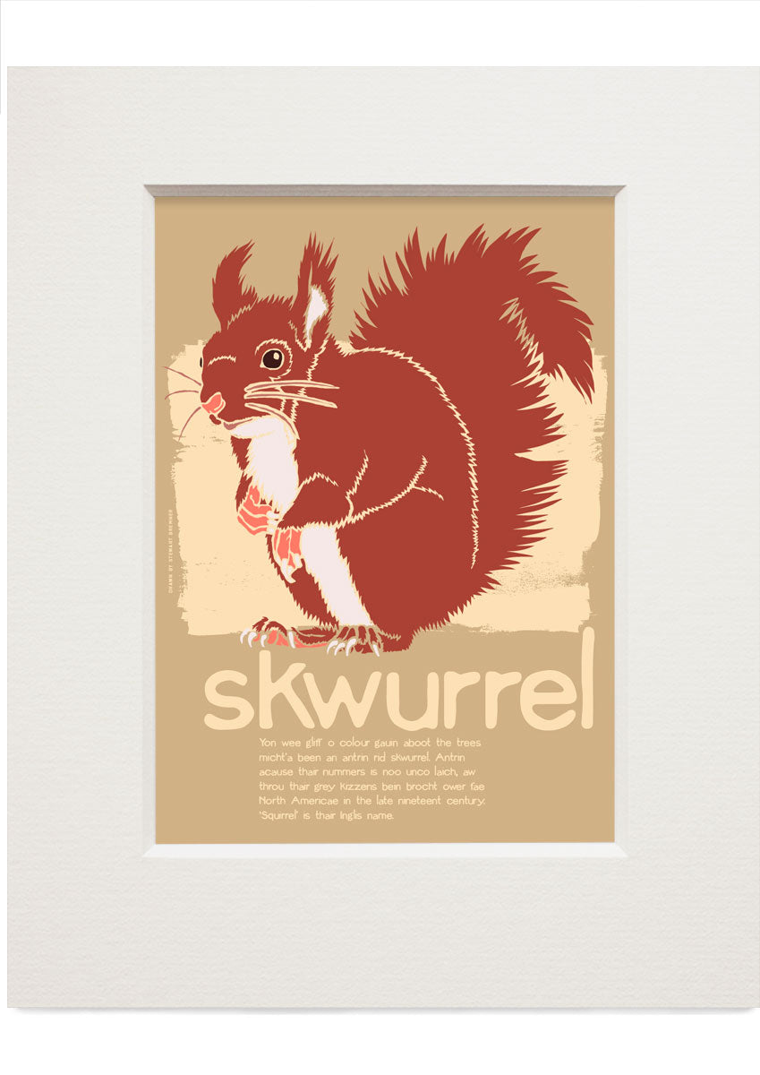 Skwurrel – small mounted print