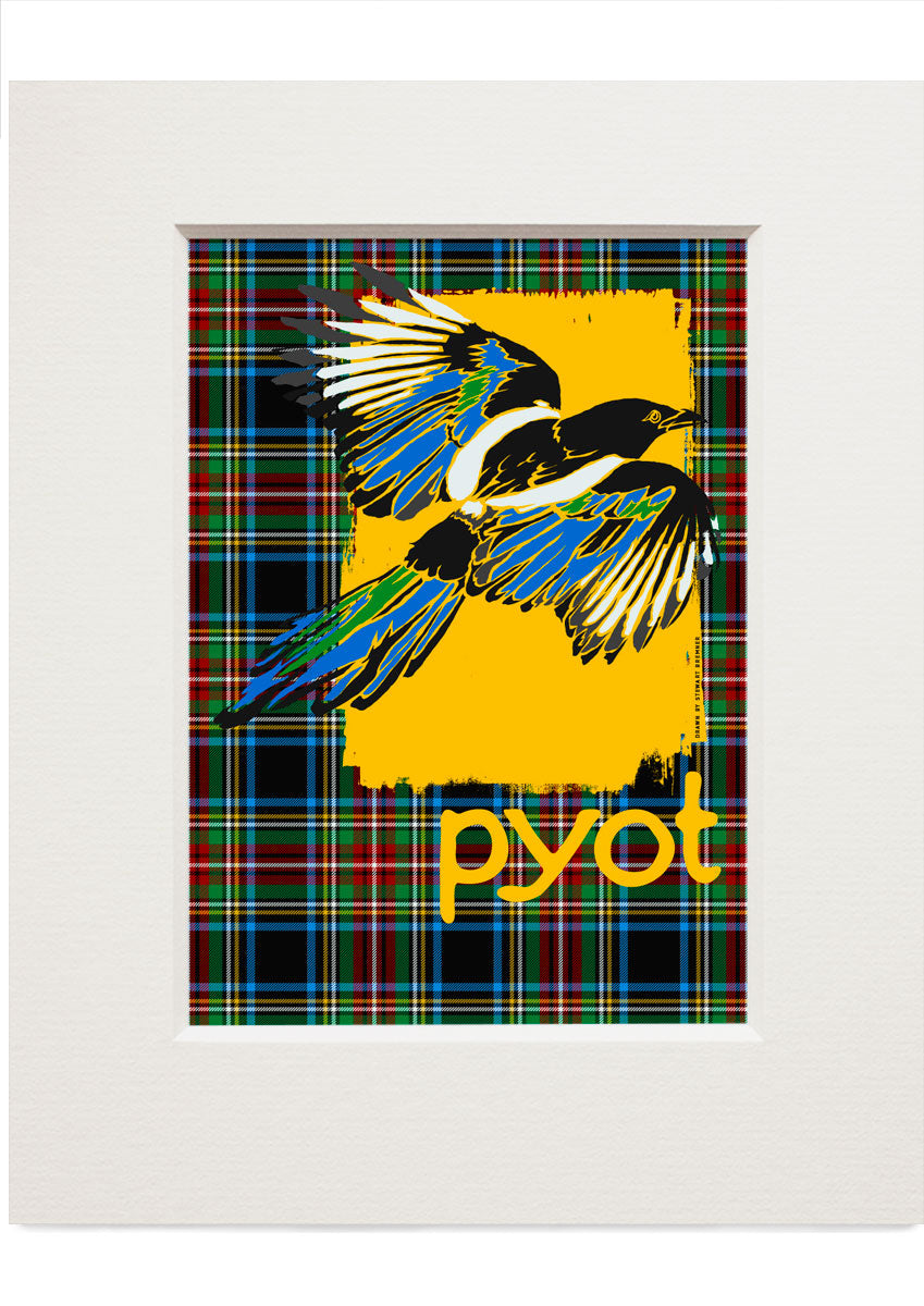 Pyot oan tartan – small mounted print - Stewart Bremner Prints