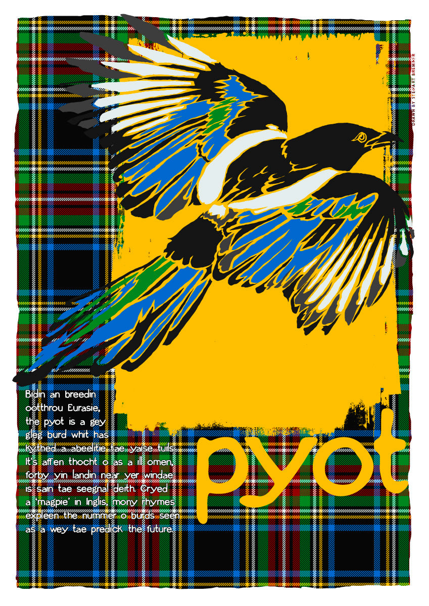 Pyot oan tartan – poster – Stewart Bremner Prints