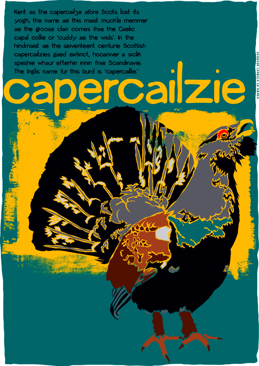 Capercailzie – poster