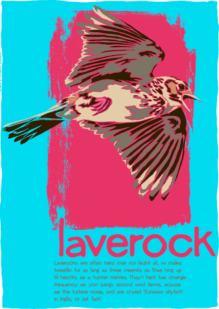 Laverock – poster
