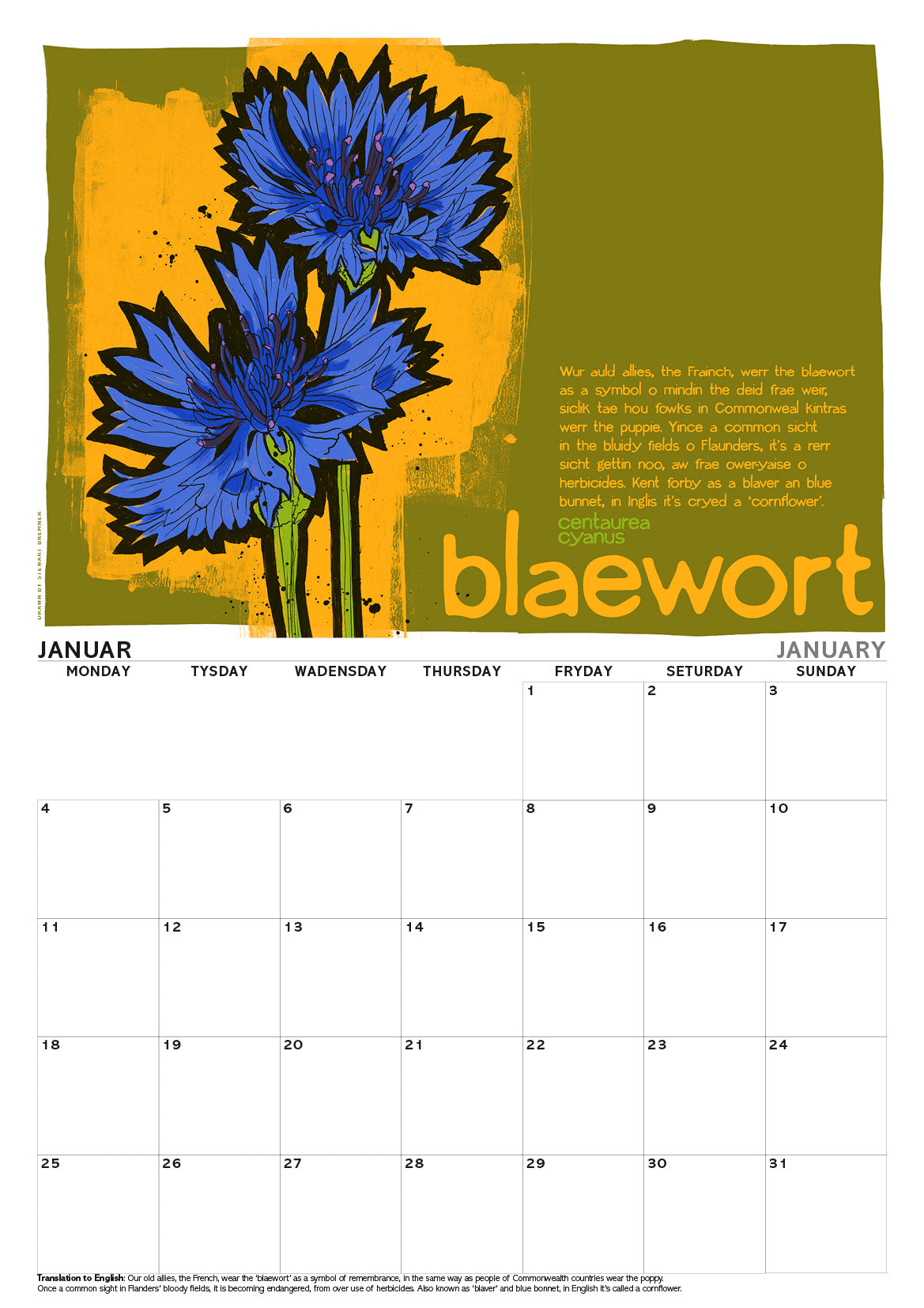 Scots flooers – A3 calendar 2027