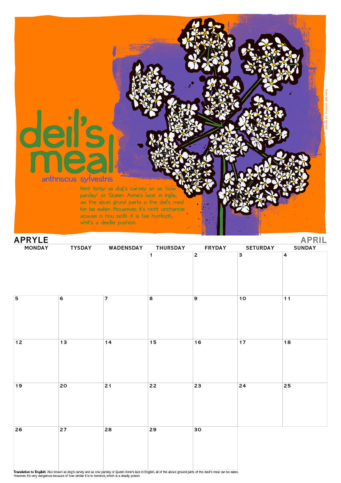 Scots flooers – A3 calendar 2027