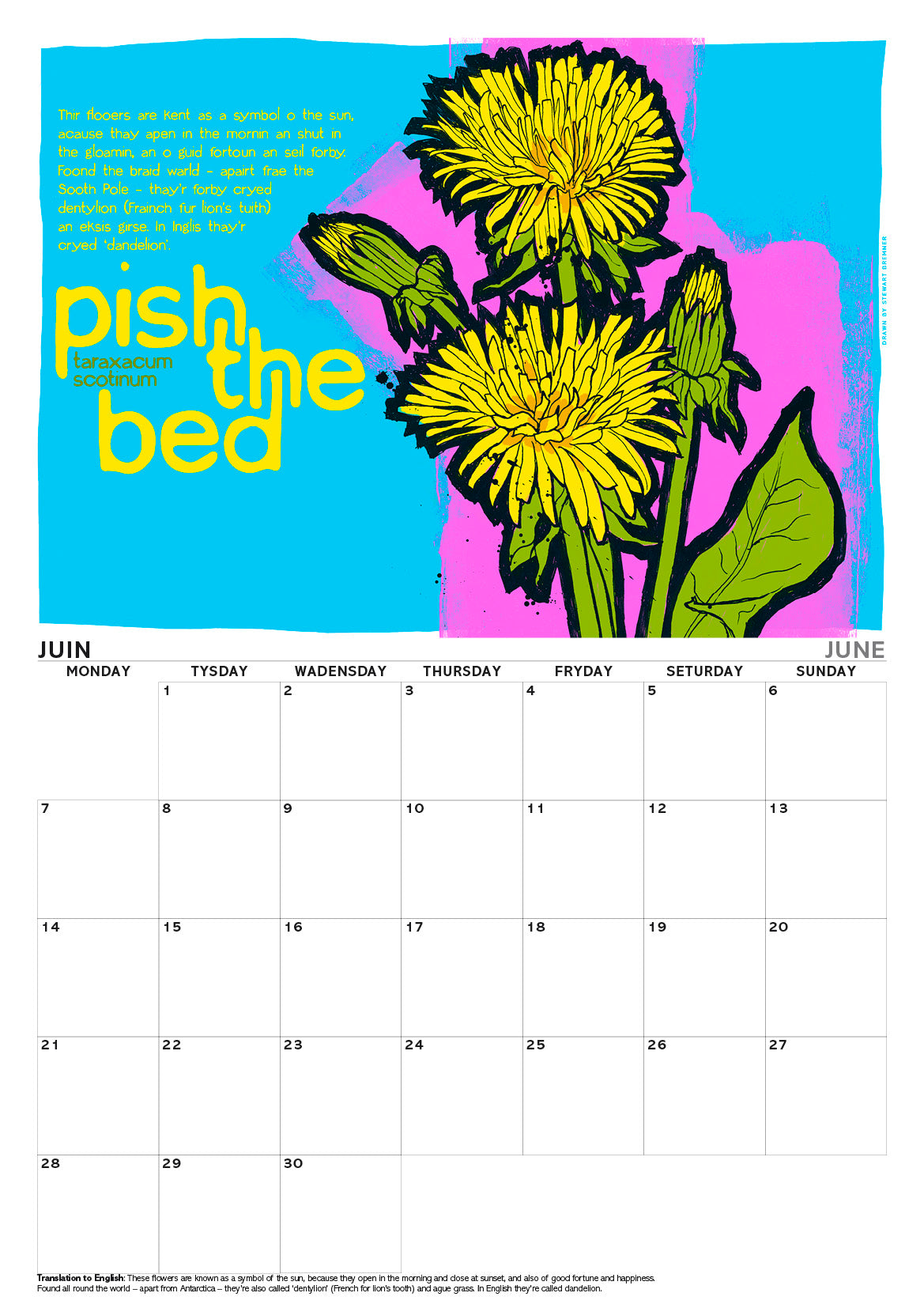 Scots flooers – A3 calendar 2027