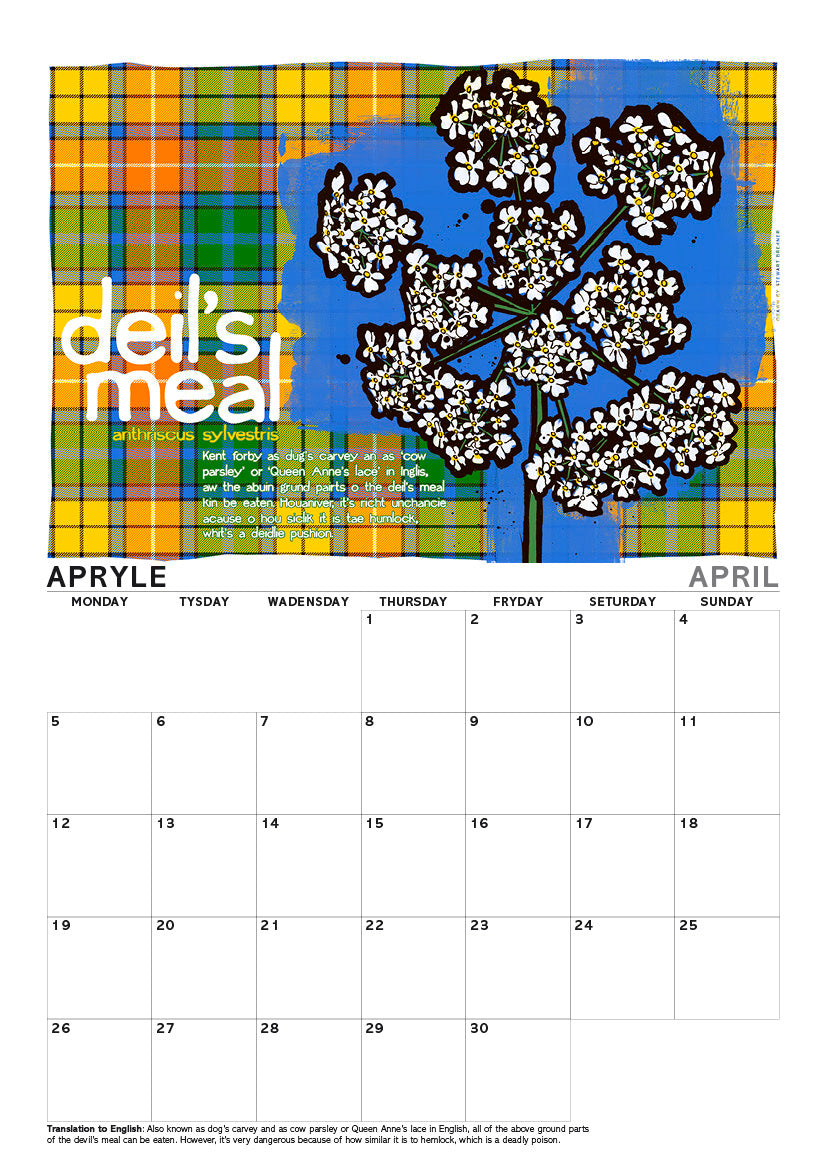 Scots flooers oan tartan – A4 calendar 2027