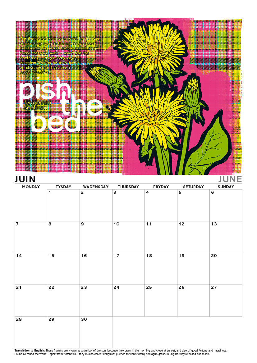 Scots flooers oan tartan – A4 calendar 2027