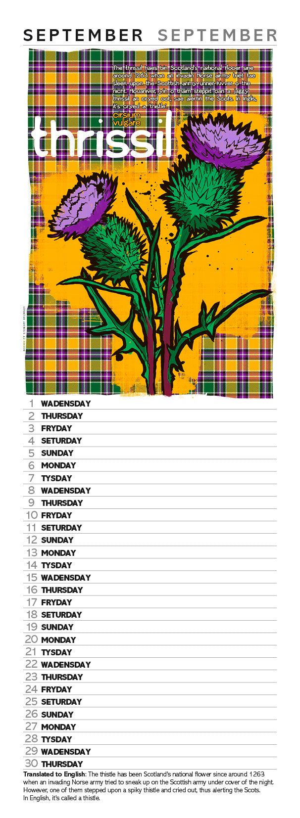 Scots flooers oan tartan – slimline calendar 2027