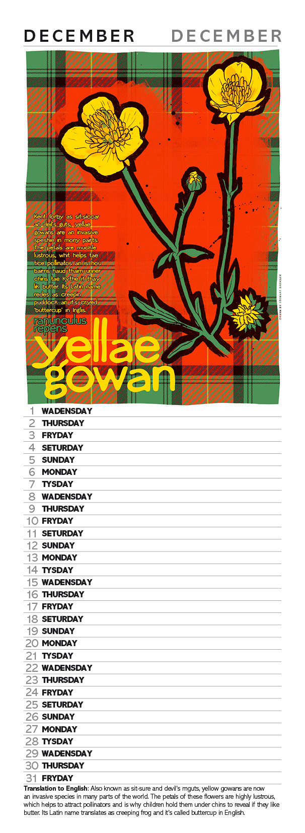 Scots flooers oan tartan – slimline calendar 2027