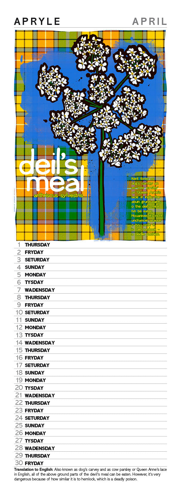 Scots flooers oan tartan – slimline calendar 2027