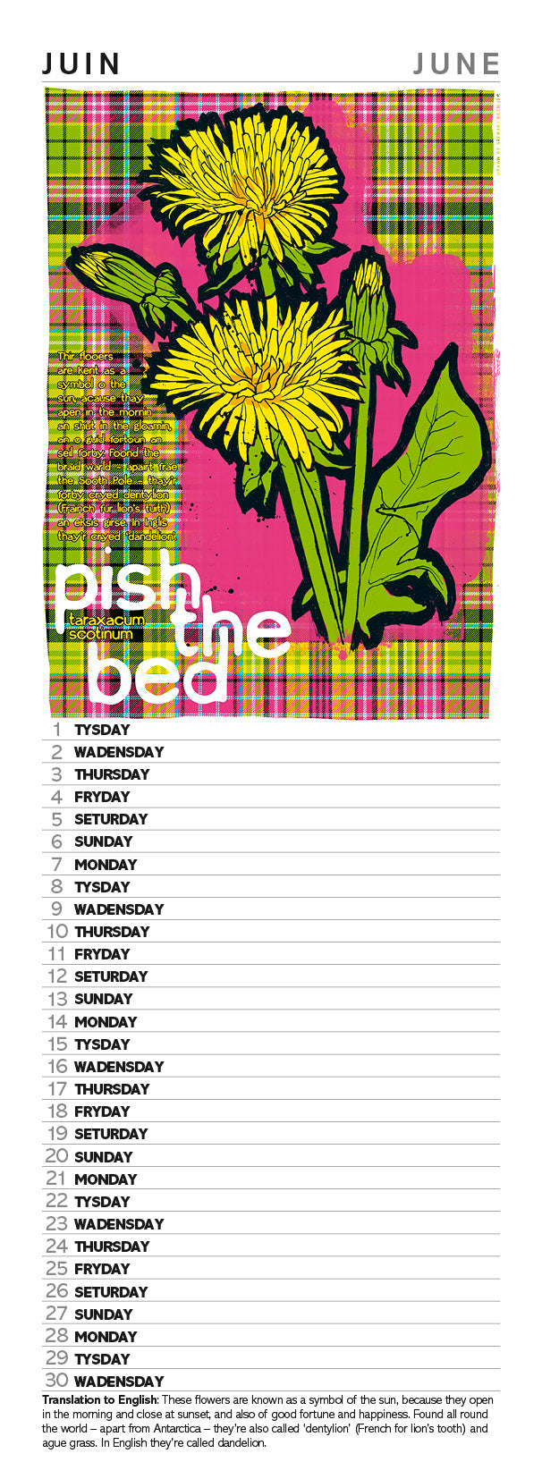 Scots flooers oan tartan – slimline calendar 2027