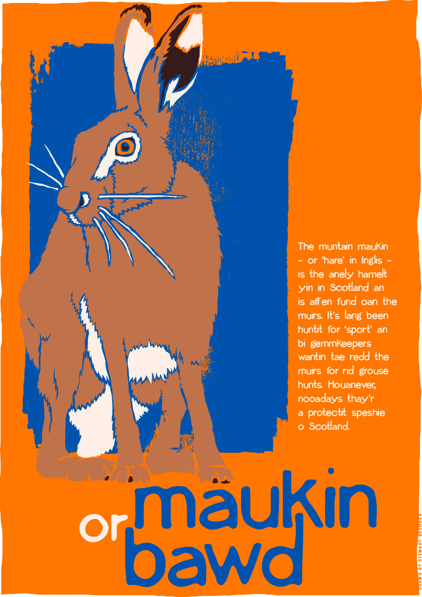 Maukin or bawd – poster