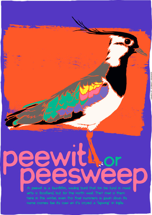 Peewit or peesweep – giclée print