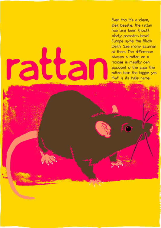 Rattan – giclée print