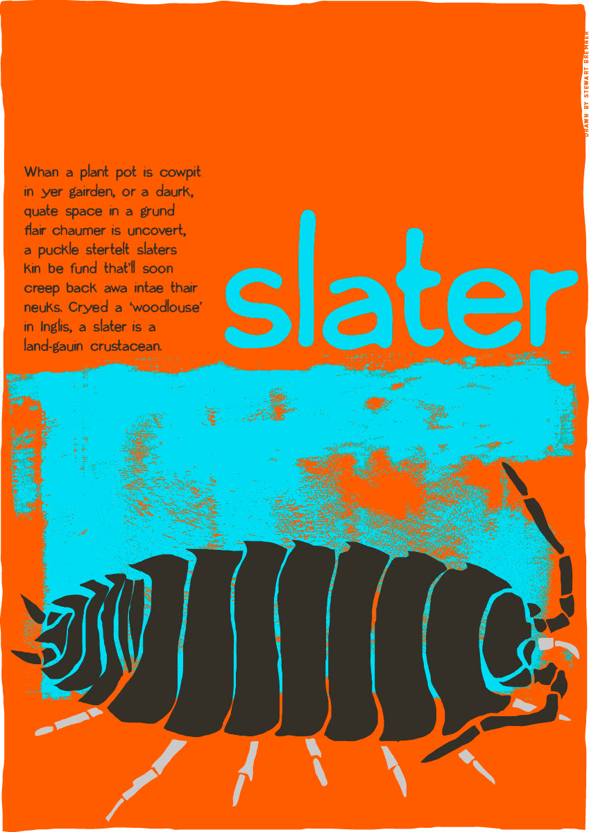 Slater (orange) – poster
