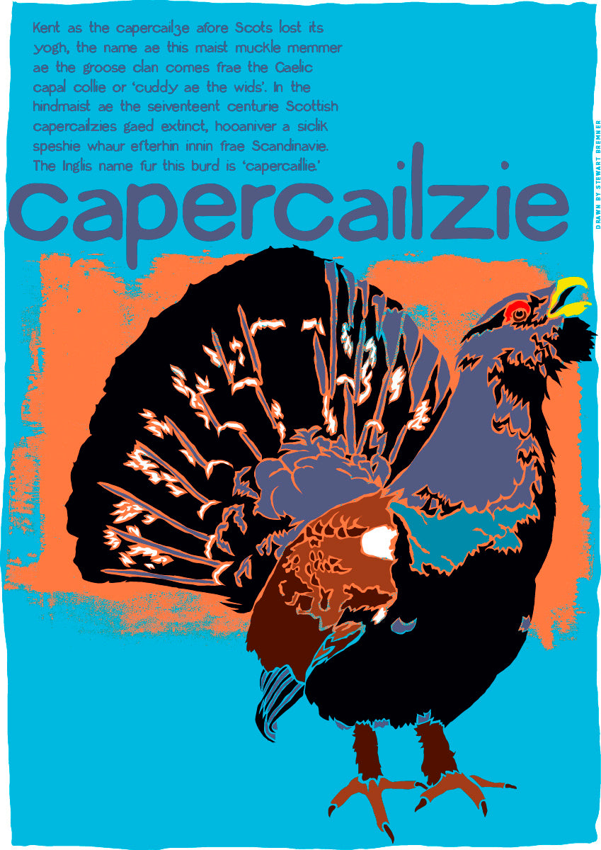 Capercailzie (blue) – poster