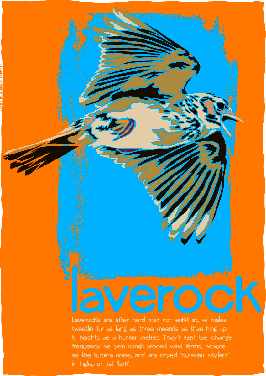 Laverock (orange) – poster