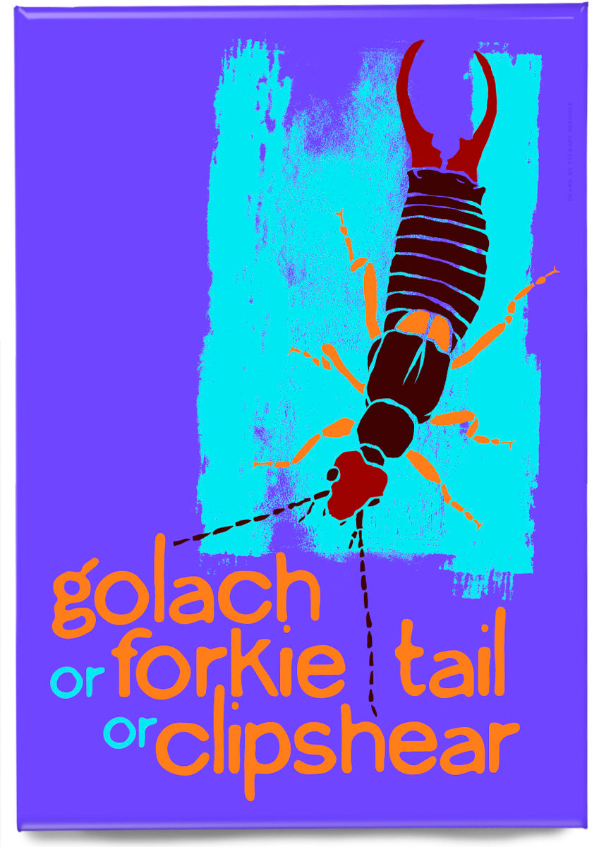 Golach or forkie-tail or clipshear – magnet