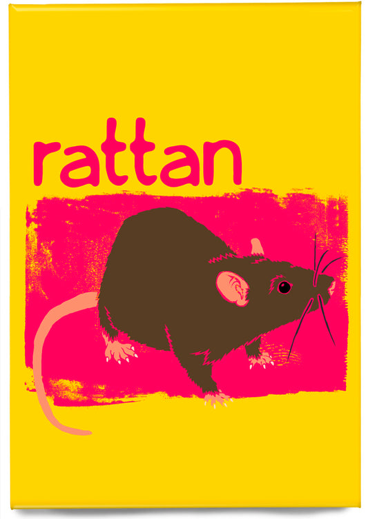 Rattan – magnet