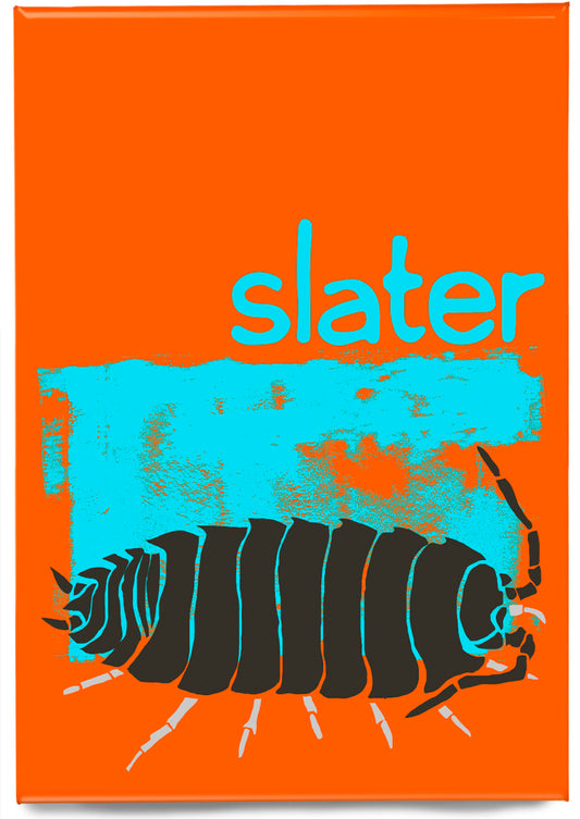 Slater – magnet