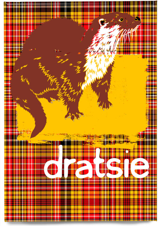 Dratsie oan tartan (yellae) – magnet