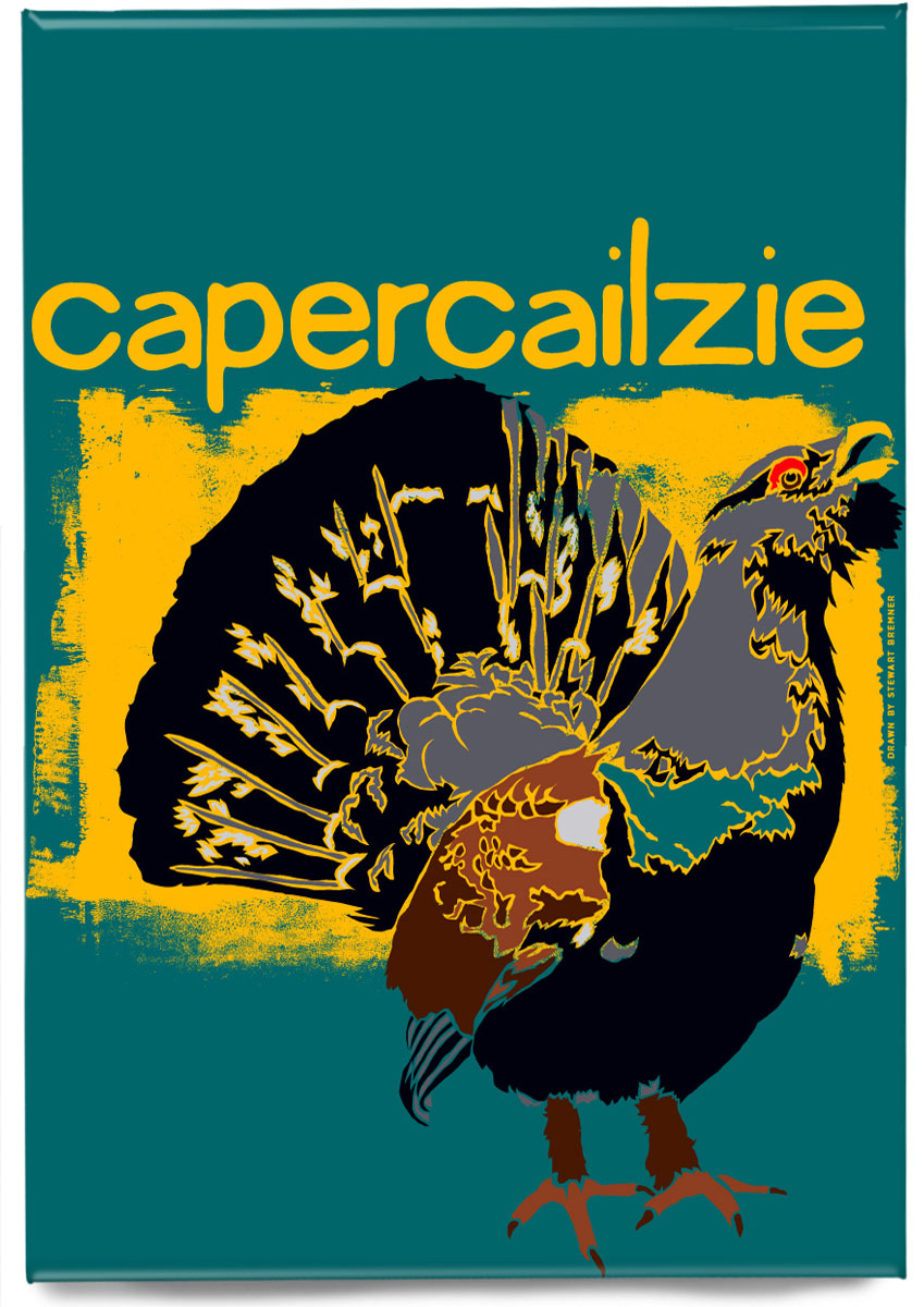 Capercailzie – magnet