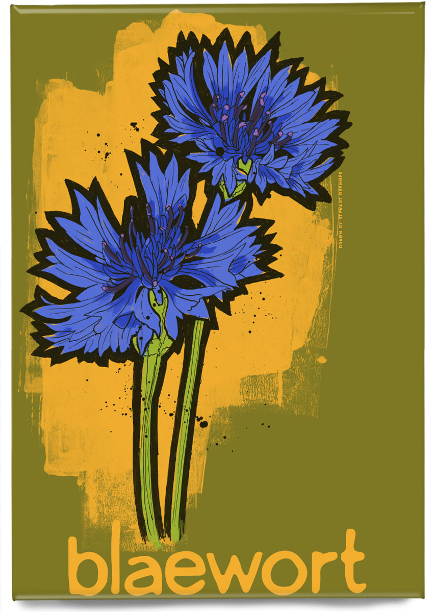 Blaewort – magnet