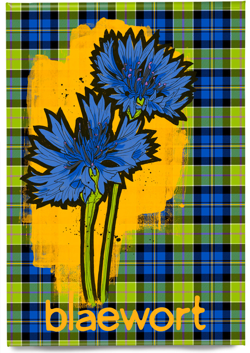 Blaewort oan tartan – magnet
