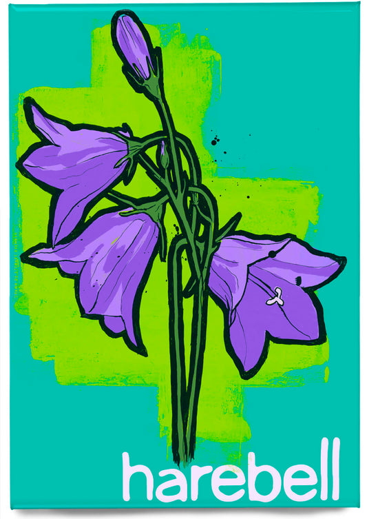 Harebell – magnet