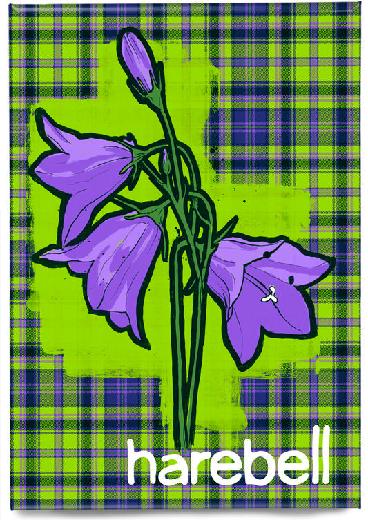 Harebell oan tartan – magnet