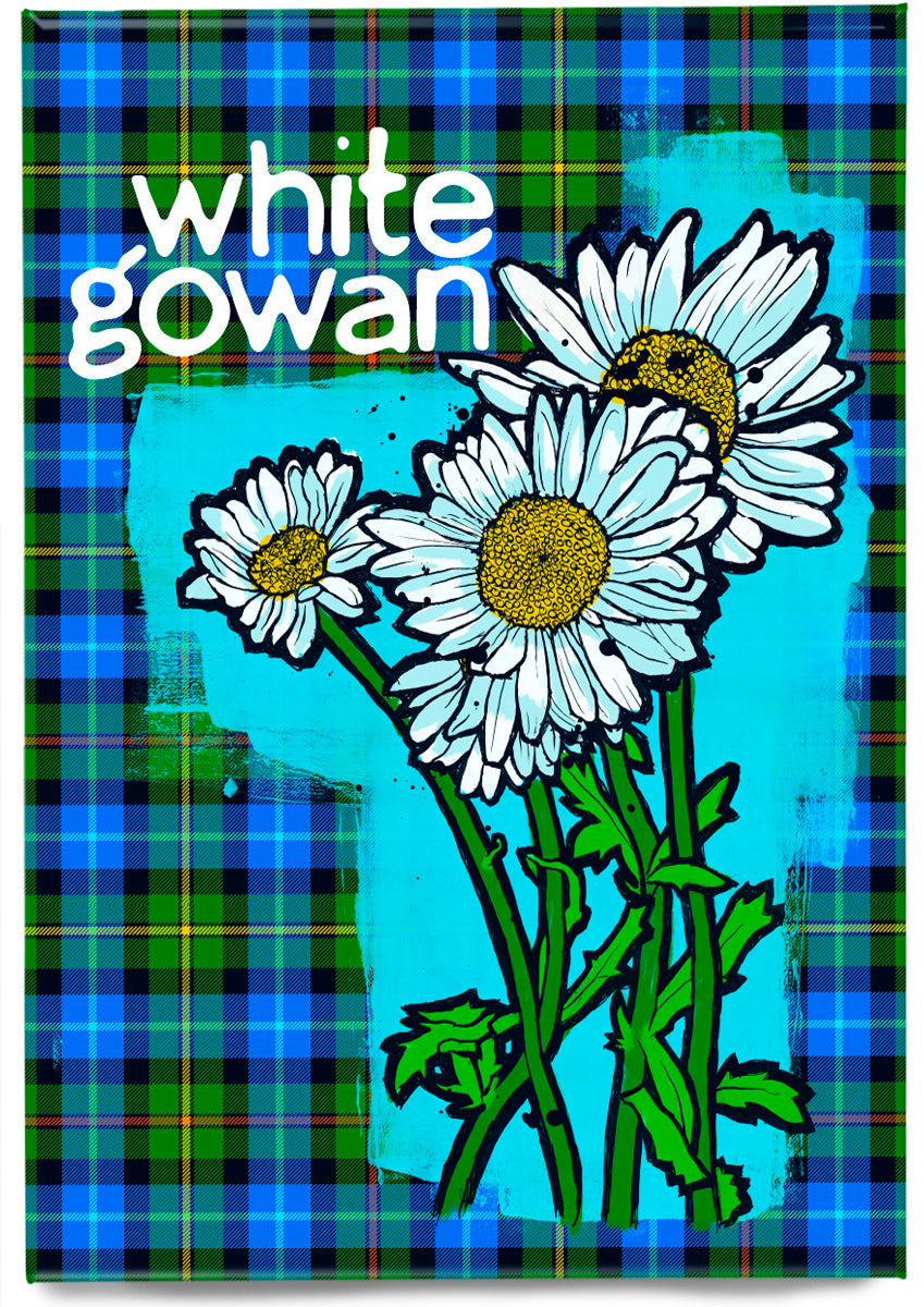 White gowan oan tartan – magnet