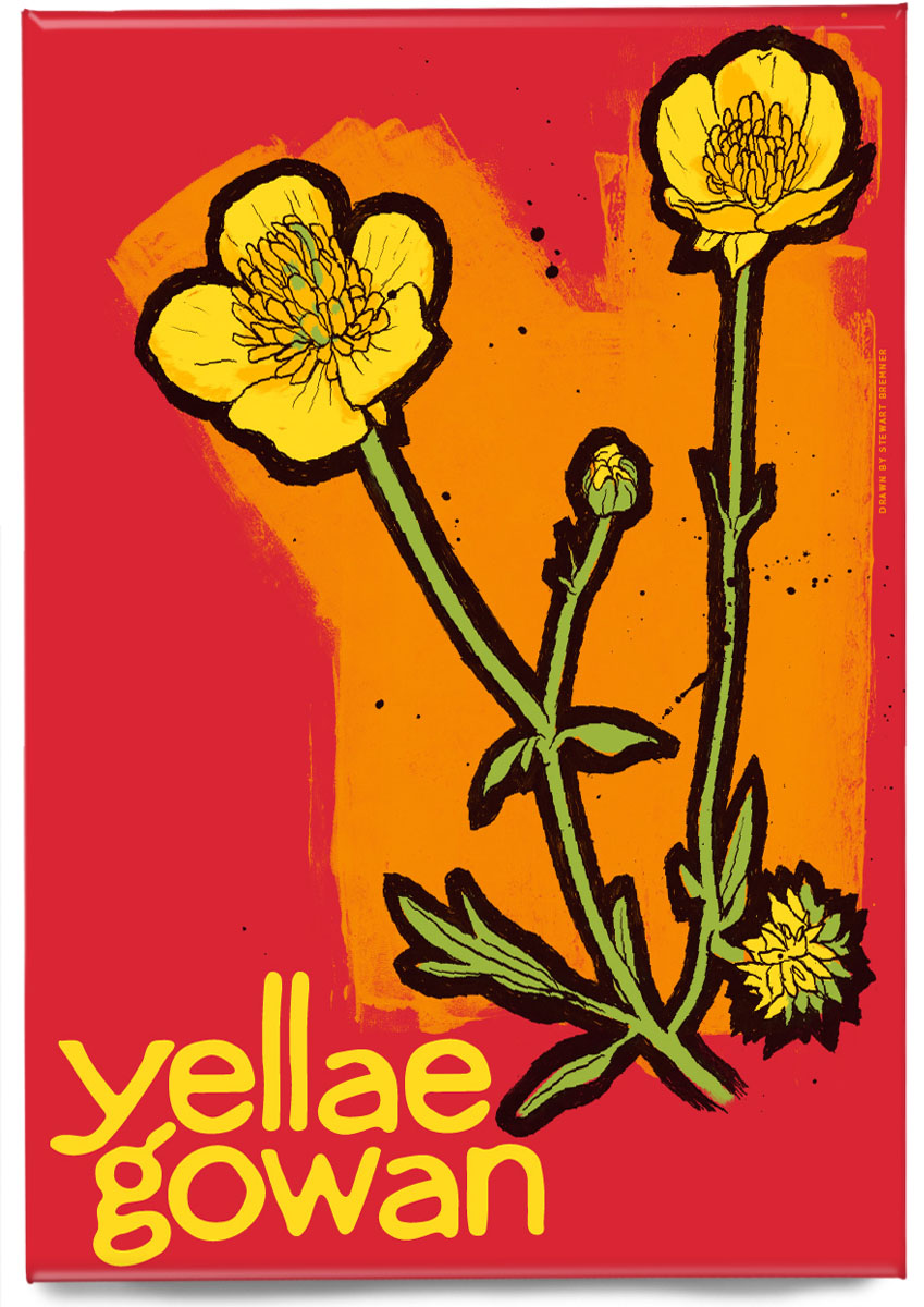 Yellae gowan – magnet