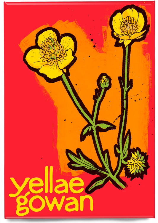 Yellae gowan – magnet