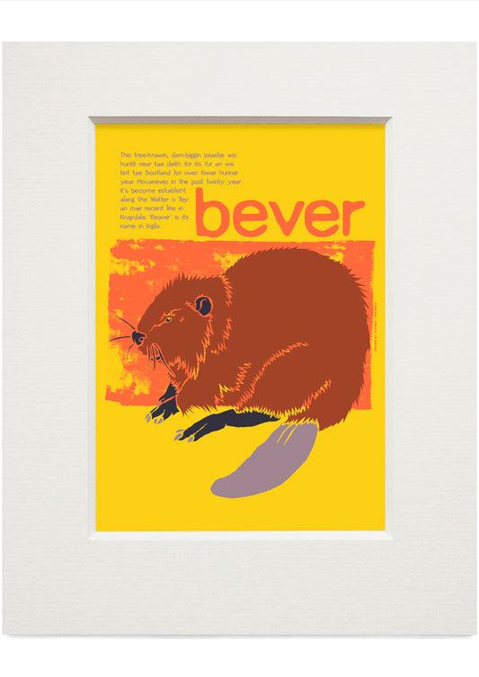 Bever – small mounted print